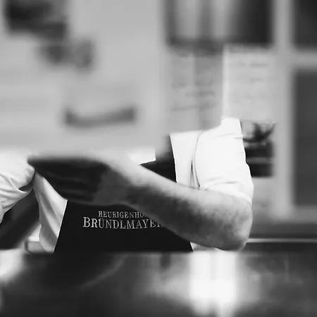 Heurigenhof Bruendlmayer Hotel Langenlois