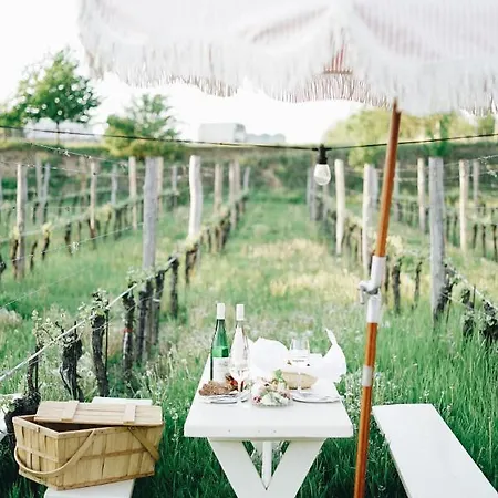 Heurigenhof Bruendlmayer Hotel *