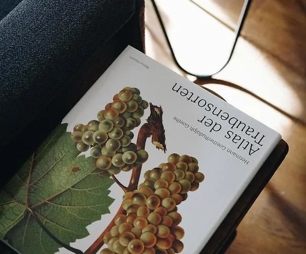 ホテル Heurigenhof Bruendlmayer グナーデンヴァルト