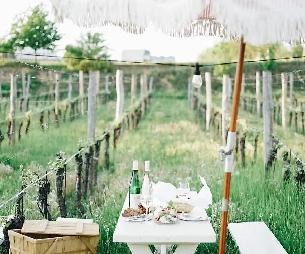 Heurigenhof Bruendlmayer ホテル *